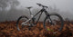 22 ALPINE TRAIL CARBON 2 MD