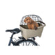 Basil - Buddy Dog Basket Rear (MIK)