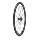 Campagnolo Shamal Carbon Disc Wheelset