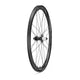 Campagnolo Shamal Carbon Disc Wheelset