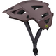 iXS - Trigger AM New Colours