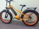 BUZZ BIKE DELUXE 750wh 26" X 4 "  YELLOW