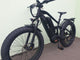 BUZZ BIKE FOREST HUNTER DB 27.5" x 2.6"