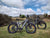 BUZZ BIKE MULE 24 X 4 STEP THOUGH (Hobbit Size)