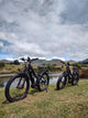 BUZZ BIKE MULE 26X 4 STEP THOUGH