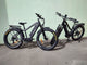 BUZZ BIKE MULE 26 X 4 MAXXIS FAT