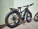 BUZZ BIKE MULE 26 X 4 MAXXIS FAT
