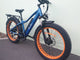 BUZZ BIKE THE MEGA  26" X 4 " FAT TYRE