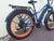 BUZZ BIKE THE MEGA  26" X 4 " FAT TYRE
