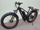 BUZZ BIKE WIZARD 26" X 4 " BLACK