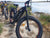 BUZZ BIKE WIZARD 26" X 4 " BLACK