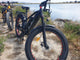 BUZZ BIKE WIZARD 26" X 4 " BLACK