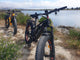 BUZZ BIKE WIZARD 26" X 4 " BLACK
