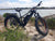 BUZZ BIKE WIZARD 26" X 4 " BLACK