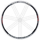 Campagnolo Rims