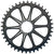 Cannondale HollowGram SpideRing SL 10 Arm 1x