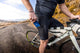 Core Cargo Bibs-XL-Male