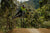 Enduro Long Pants