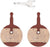 Frictive FR250R Resin Pads (for Avid BB5)