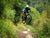 Kraken Trail Jersey