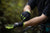 Lime Trail Gloves-L-Unisex