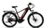 WATT WHEELS E-BIG HORN MID DRIVE ( smart techology )