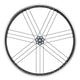 Campagnolo Rims