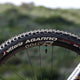 Vittoria 27.5" Agarro Trail