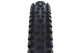 Schwalbe Tyre Tacky Chan