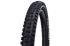 Schwalbe Tyre Tacky Chan