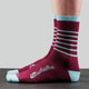 Bellwether - Blitz Socks