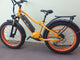 BUZZ BIKE DELUXE 750wh 26" X 4 "  YELLOW