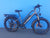 BUZZ BIKE TRAIL BLAZER STEP OVER  24" X 3 " FAT TYRE