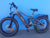 BUZZ BIKE FOREST HUNTER 24"X 4 " WHEEL