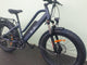 BUZZ BIKE TRAIL BLAZER STEP OVER  24" X 3 " FAT TYRE