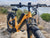 BUZZ BIKE FLYING WITCH DOUBLE BATTERY 26" X 4" YELLOW