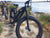 BUZZ BIKE WIZARD 26" X 4 " BLACK