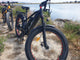 BUZZ BIKE WIZARD 26" X 4 " BLACK