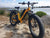 BUZZ BIKE FLYING WITCH DOUBLE BATTERY 26" X 4" YELLOW