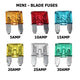 Fuses -  Mini Blade & Blade - 5 to 30 AMP