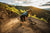 Kauai Trail Jersey - Last Items