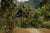 Enduro Long Pants