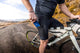 Core Cargo Bibs-M-Male