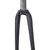 Ritchey WCS Carbon Road Fork