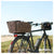 Basil - Cento Rattan Look Multi Rear Basket