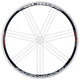 Campagnolo Rims