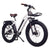 ET-Cycle T720 Fat Trekking Step-thru E-Bike, 48V 15Ah, 720Wh Battery