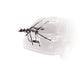 Yakima KingJoe Pro 3