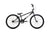 SPRINTER CRUISER 24"