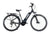 Hybrid E-Bikes – F18 Cruise Elite Special